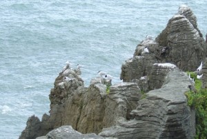 Punakaiki rocks